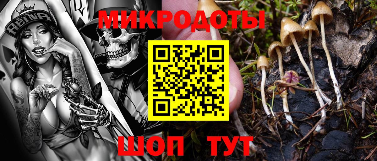 Галлюциногенные грибы ЛСД Муром